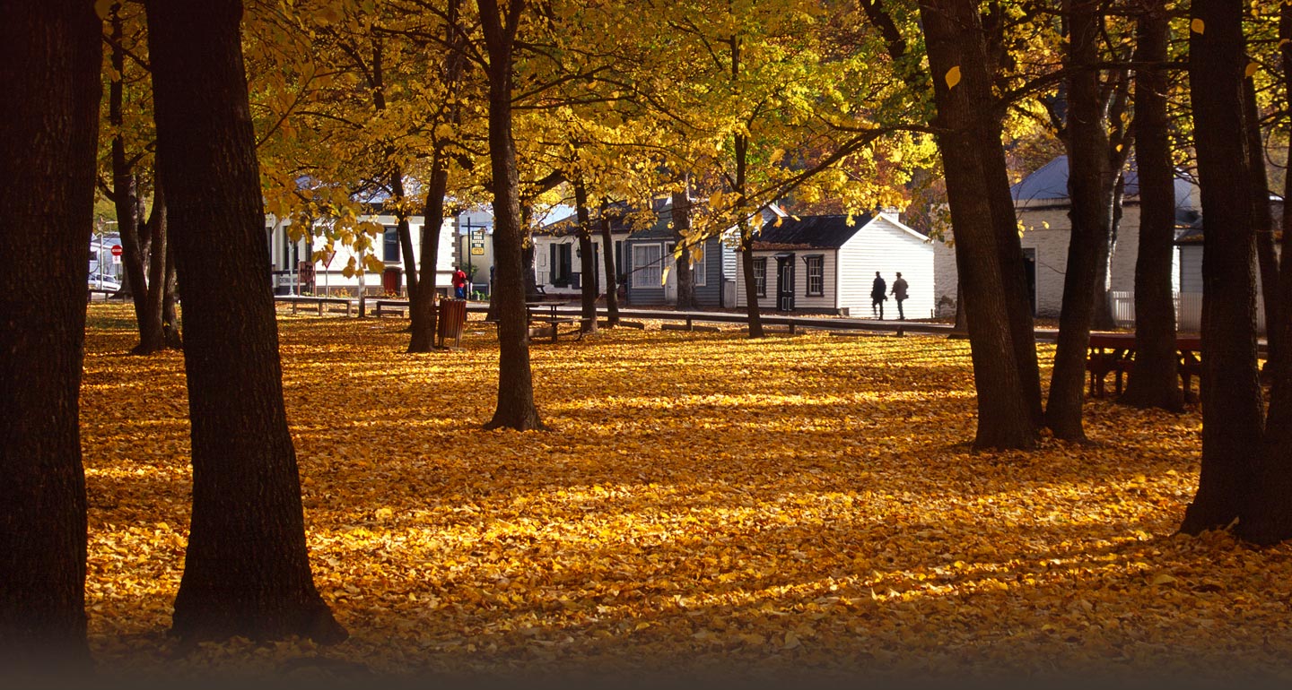 Pure Boutique New Zealand