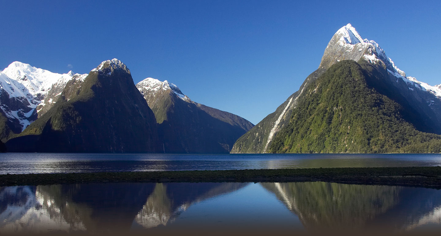 Pure Boutique New Zealand