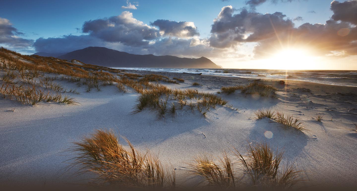 Pure Boutique New Zealand