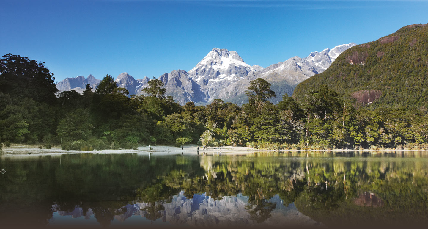 Pure Boutique New Zealand